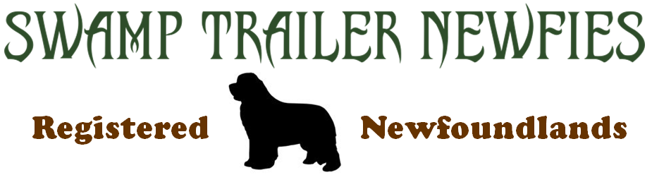 Swamp Trailer Newfies